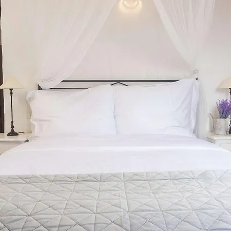 Viola - Mit Istrischem Charme In Visnjan, Kroatien Villa